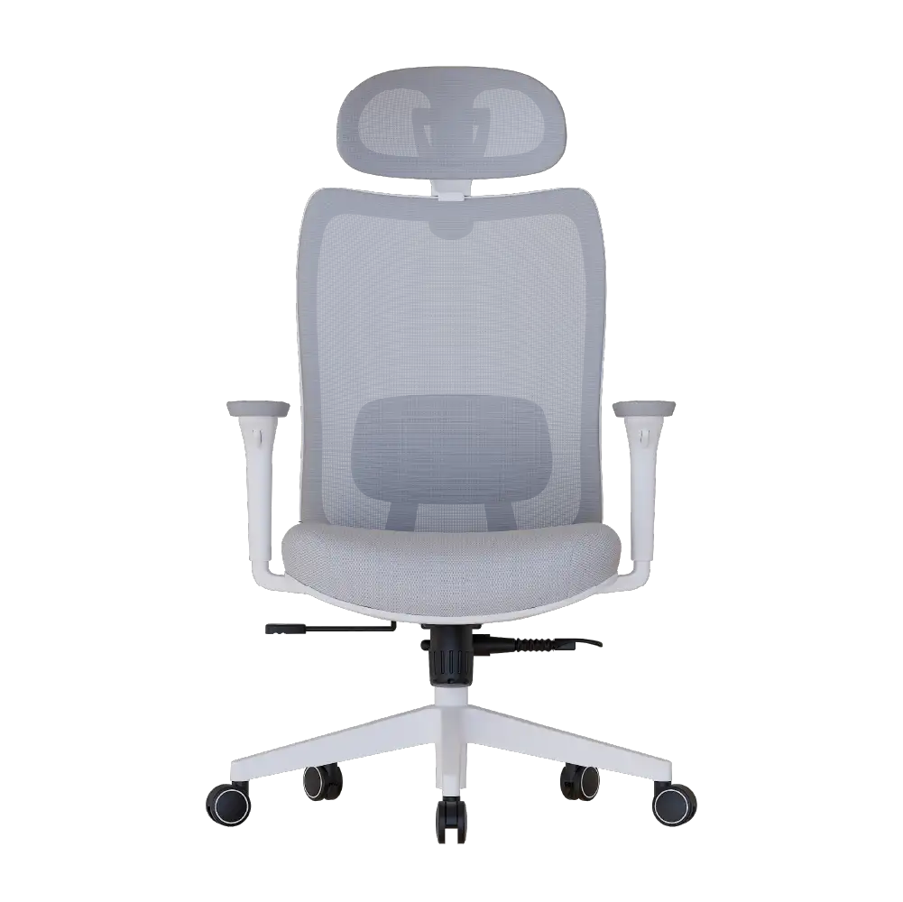 Cadeira Ergonômica Elements Astra Pro