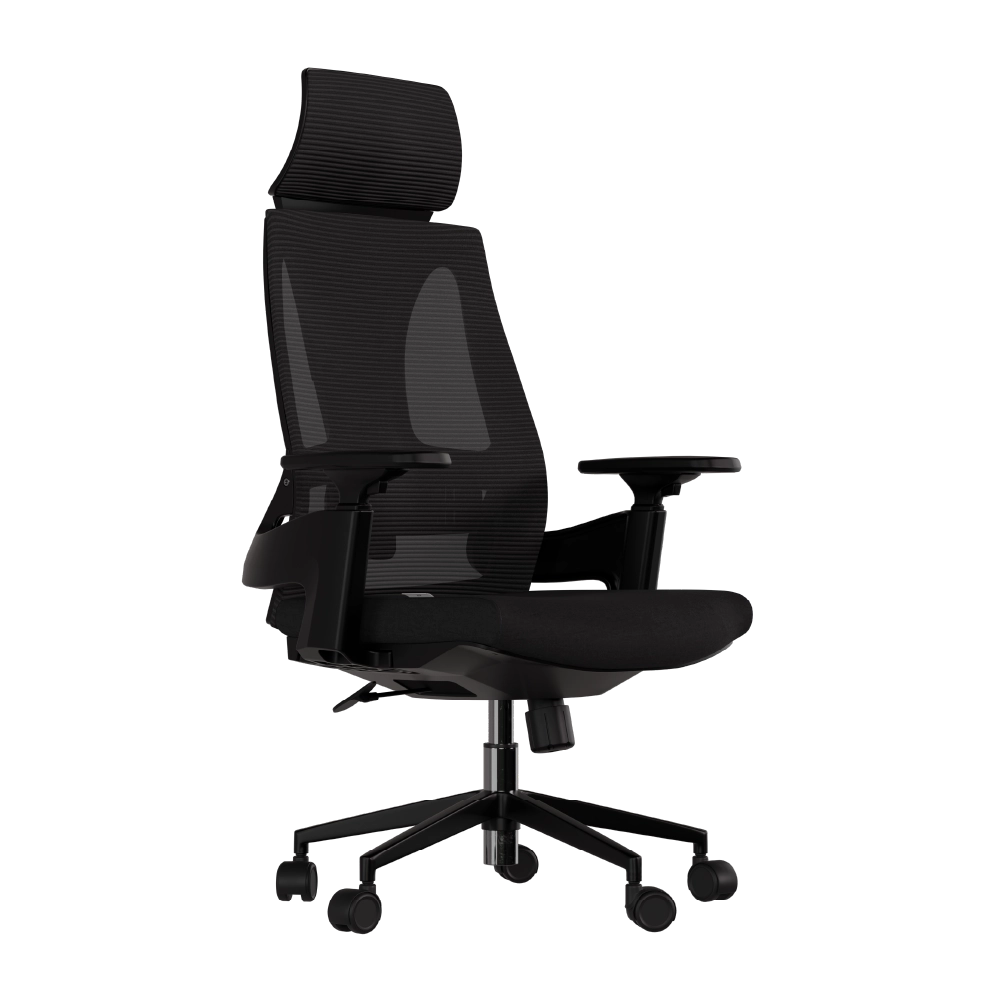 Cadeira Ergonômica Elements Helene Special