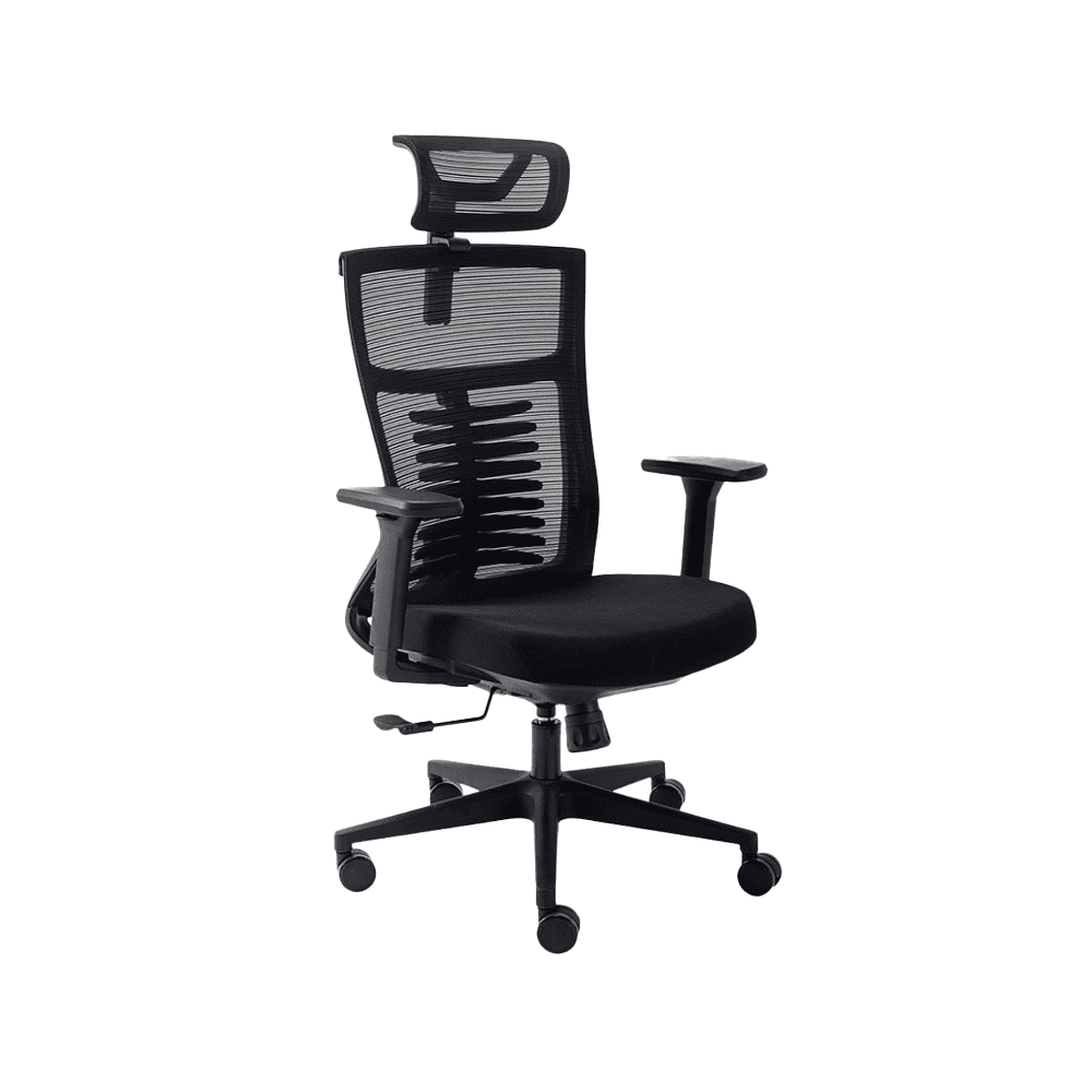 cadeira ergonômica de escritório, modelo vertta básica, cor preta.