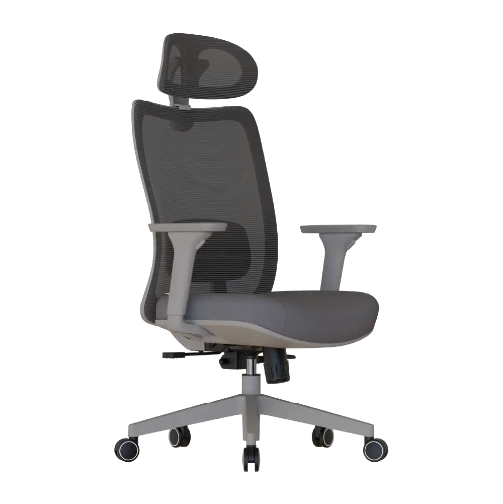 Cadeira Ergonômica Elements Astra Pro