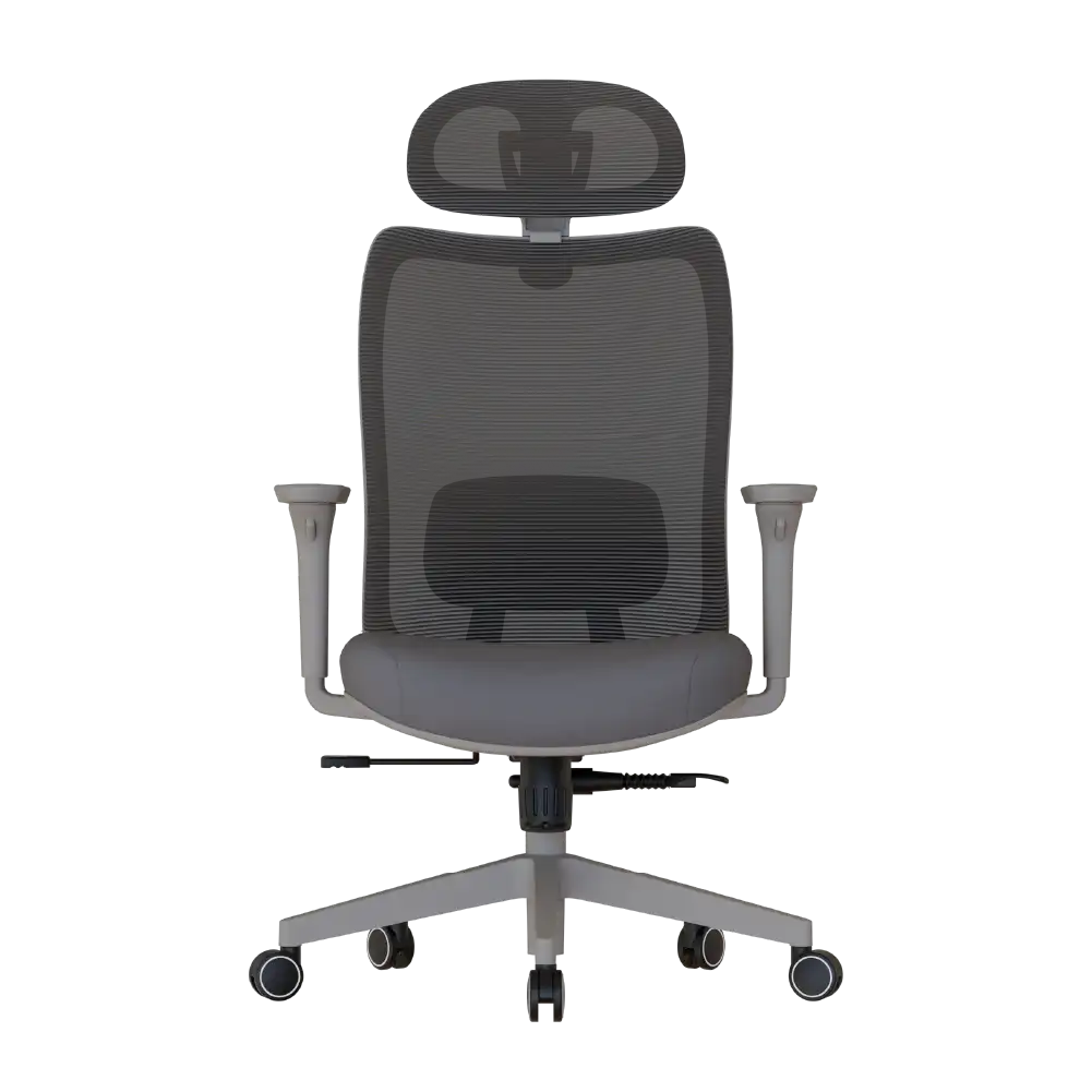 Cadeira Ergonômica Elements Astra Pro