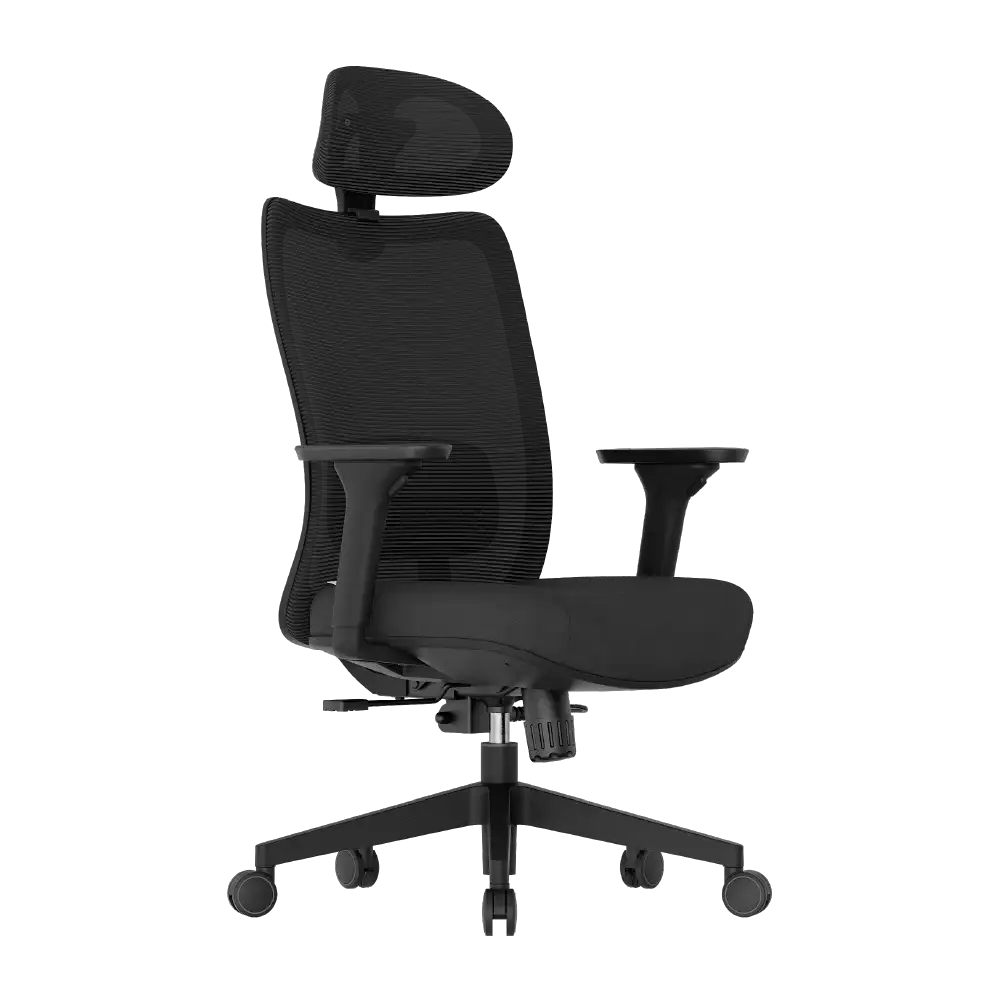 Cadeira Ergonômica Elements Astra Pro
