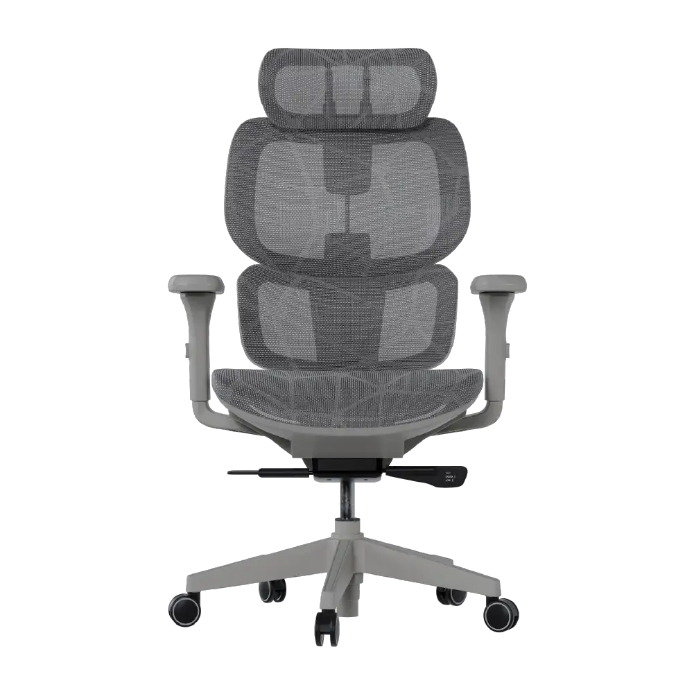 Cadeira Ergonômica Elements Siggy