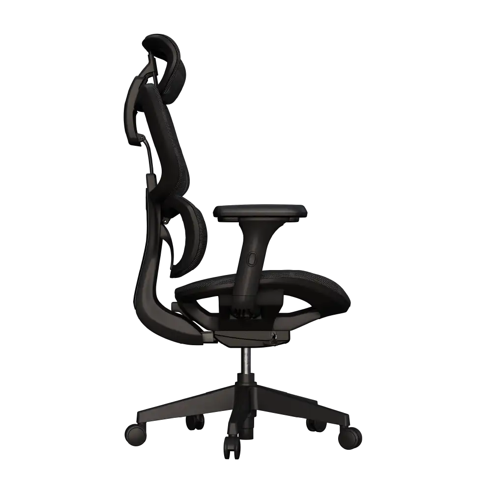 Cadeira Ergonômica Elements Siggy