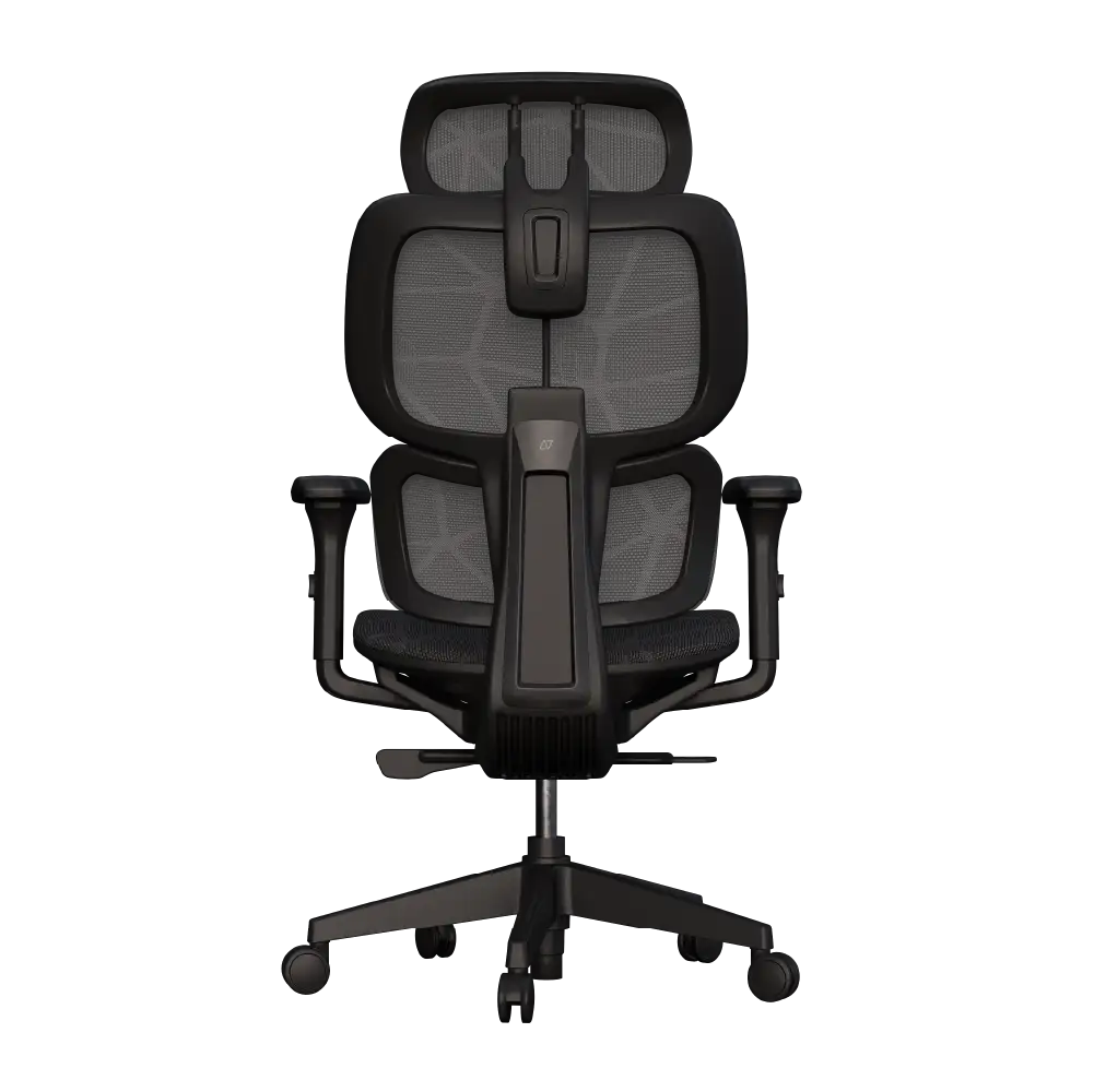 Cadeira Ergonômica Elements Siggy