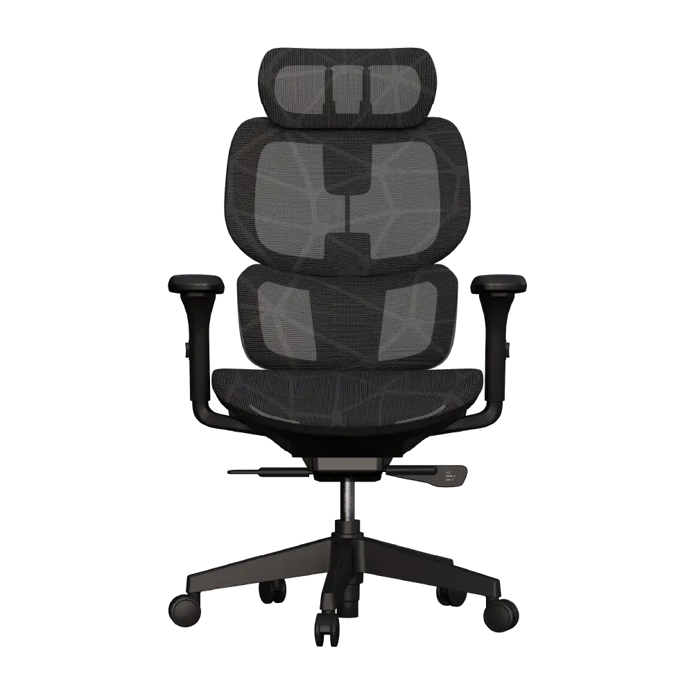 Cadeira Ergonômica Elements Siggy