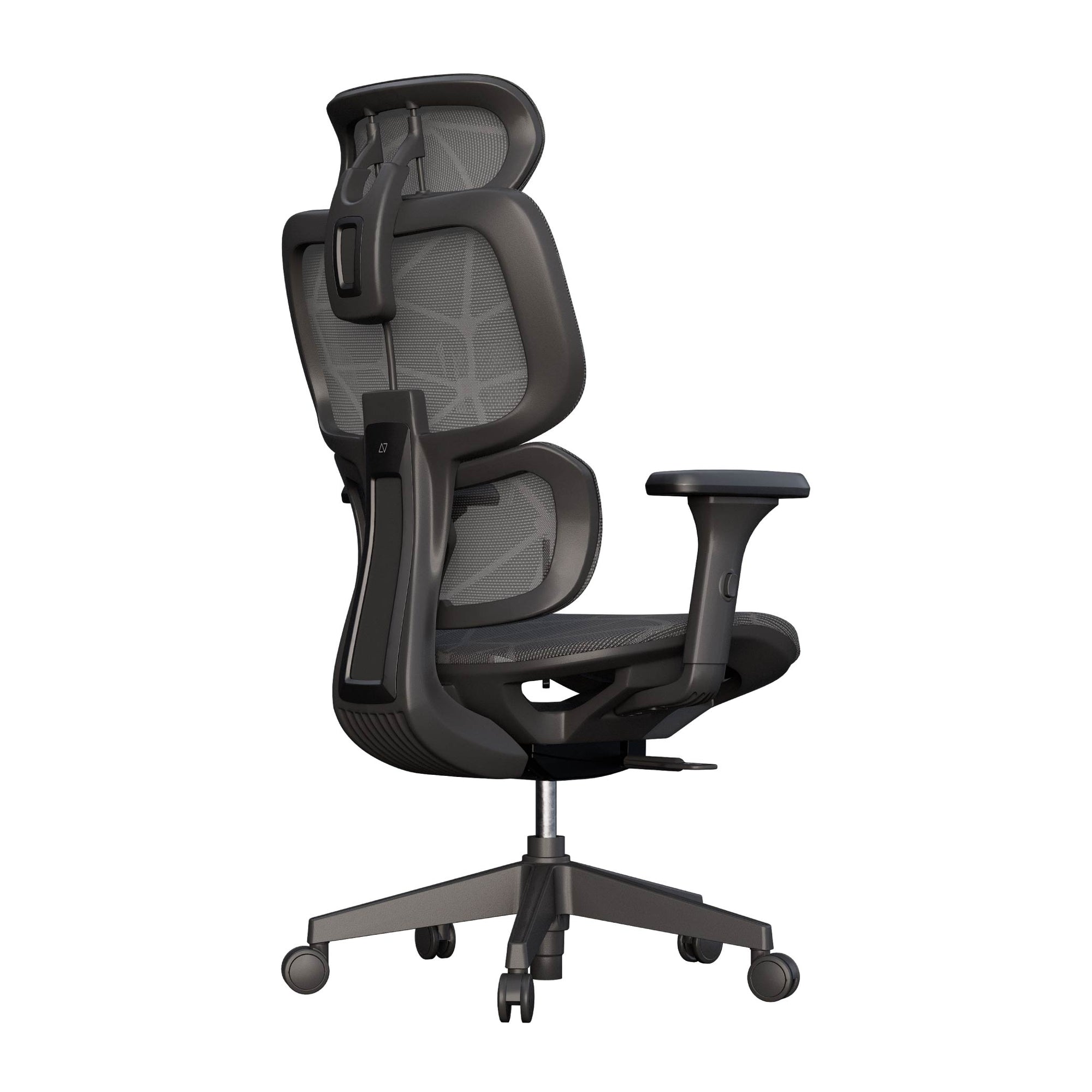 Cadeira Ergonômica Elements Siggy