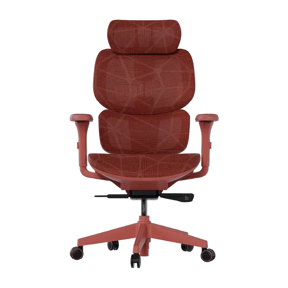Cadeira Ergonômica Elements Siggy