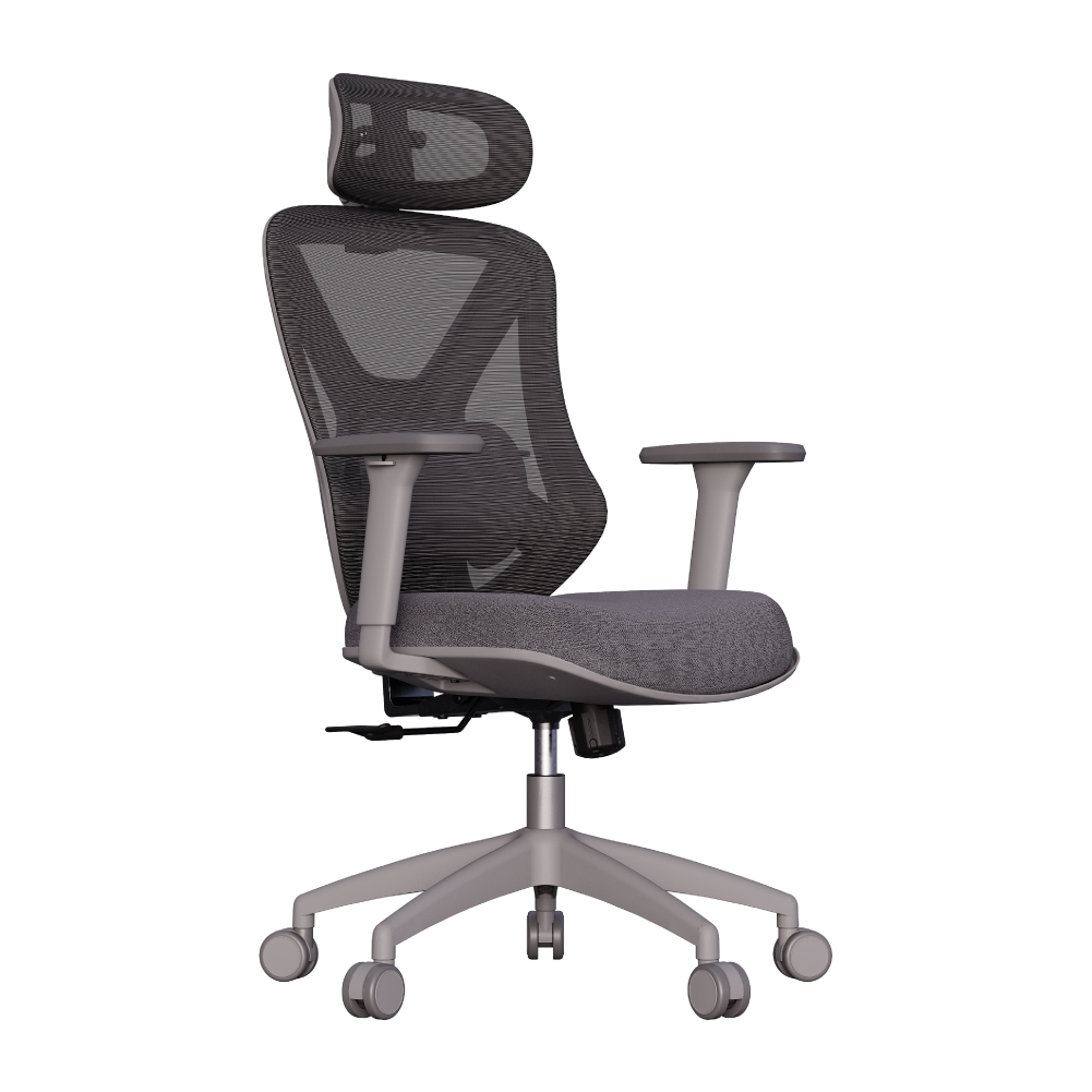 Cadeira Ergonômica Elements Rasala