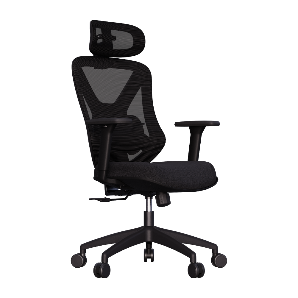 Cadeira Ergonômica Elements Rasala