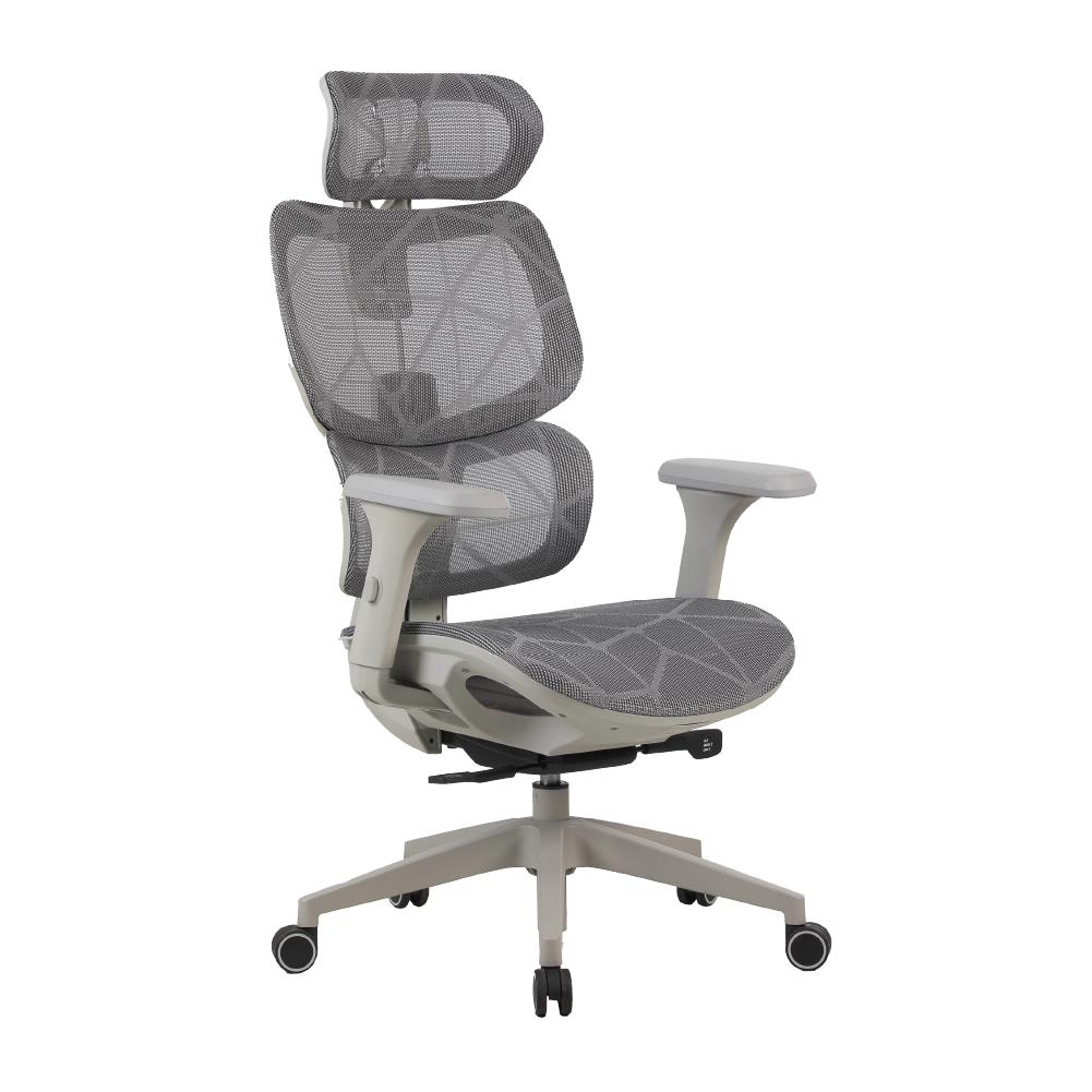Cadeira Ergonômica Elements Siggy