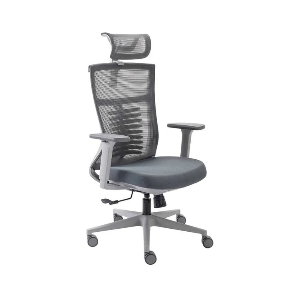 cadeira ergonômica de escritório, modelo vertta básica, cor cinza.