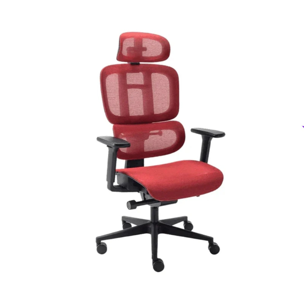 Cadeira Ergonômica Elements Sophy - Open Box