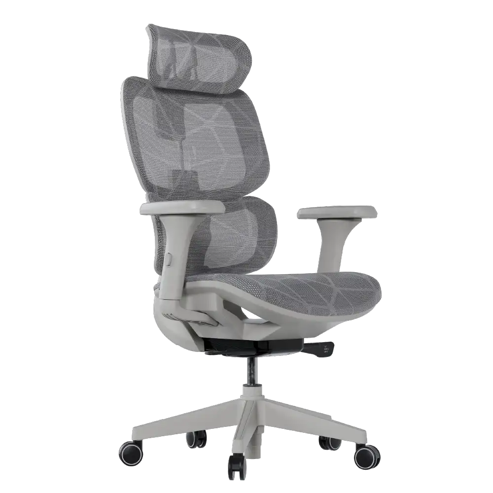 Cadeira Ergonômica Elements Siggy