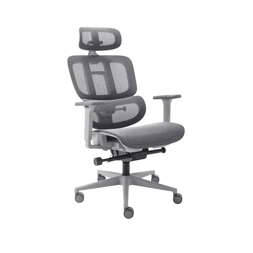 Cadeira Ergonômica Elements Sophy - Open Box