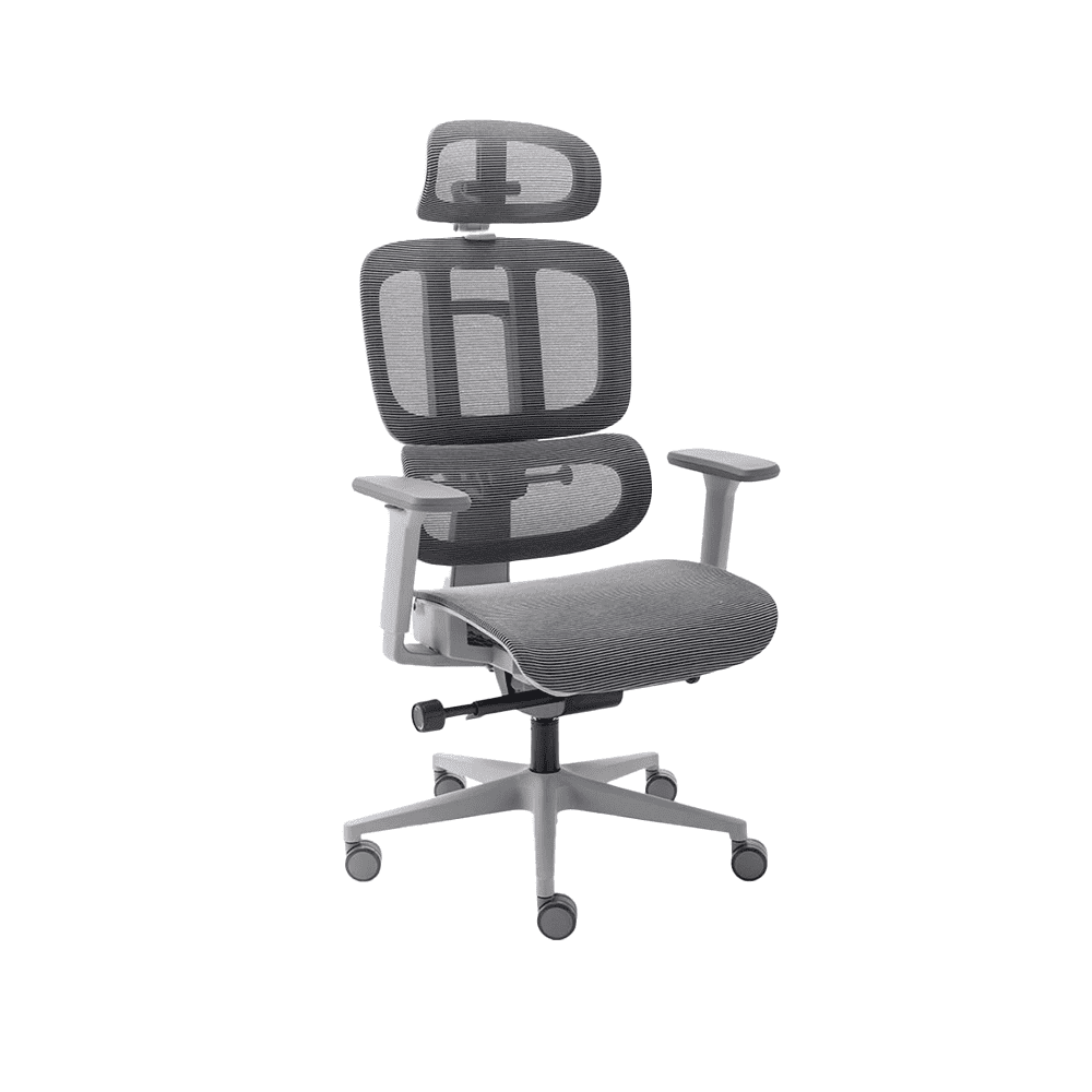 Cadeira Ergonômica Elements Sophy - Open Box