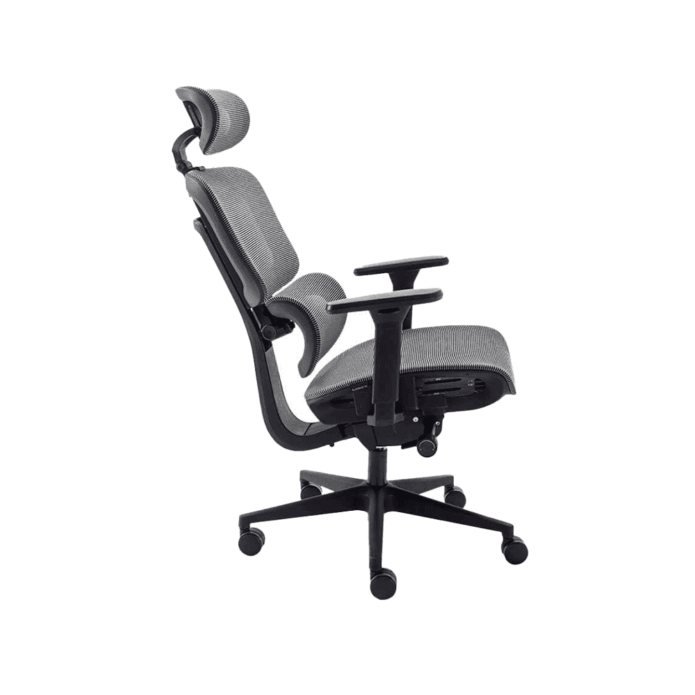 Cadeira Ergonômica Elements Sophy - Open Box
