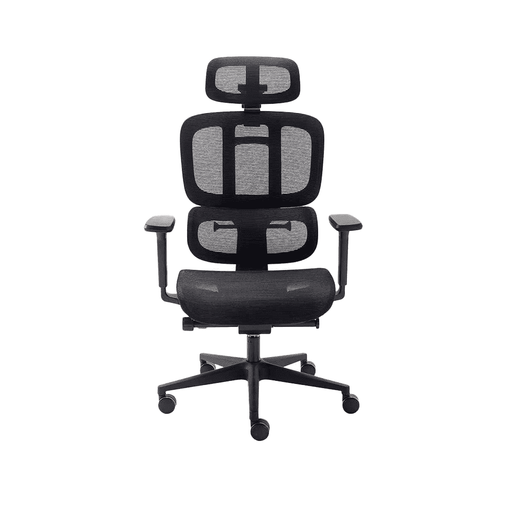 Cadeira Ergonômica Elements Sophy - Open Box