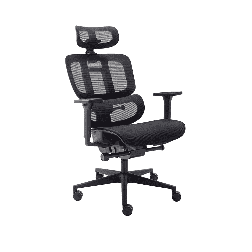 Cadeira Ergonômica Elements Sophy - Open Box