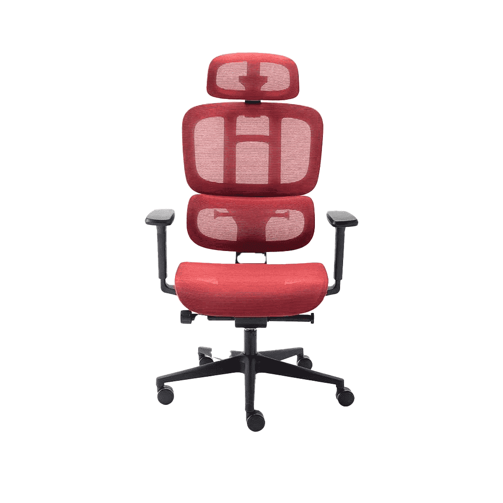 Cadeira Ergonômica Elements Sophy - Open Box