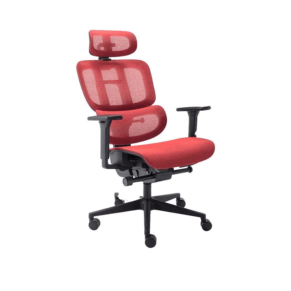 Cadeira Ergonômica Elements Sophy - Open Box