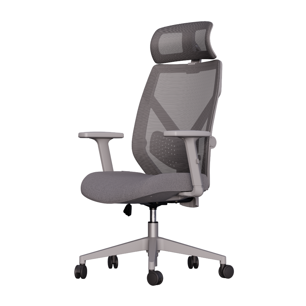 Cadeira Ergonômica Elements Albari