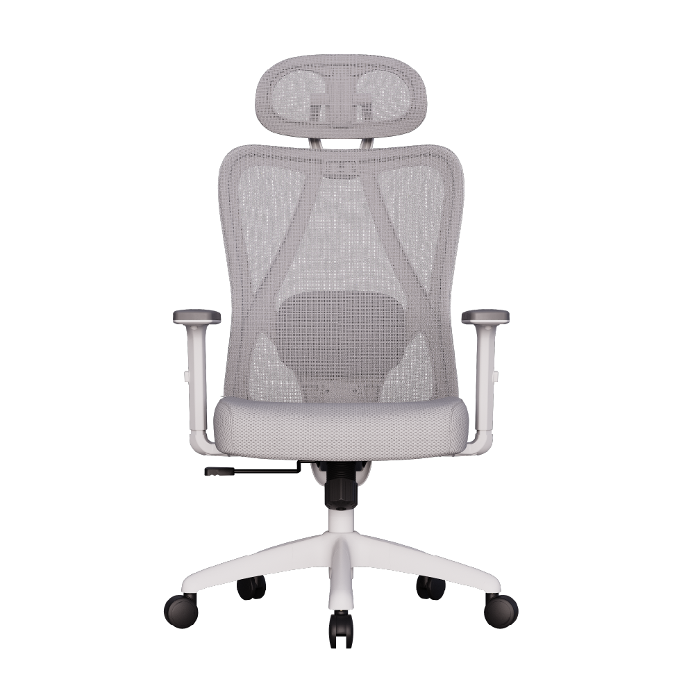 Cadeira Ergonômica Elements Samaia