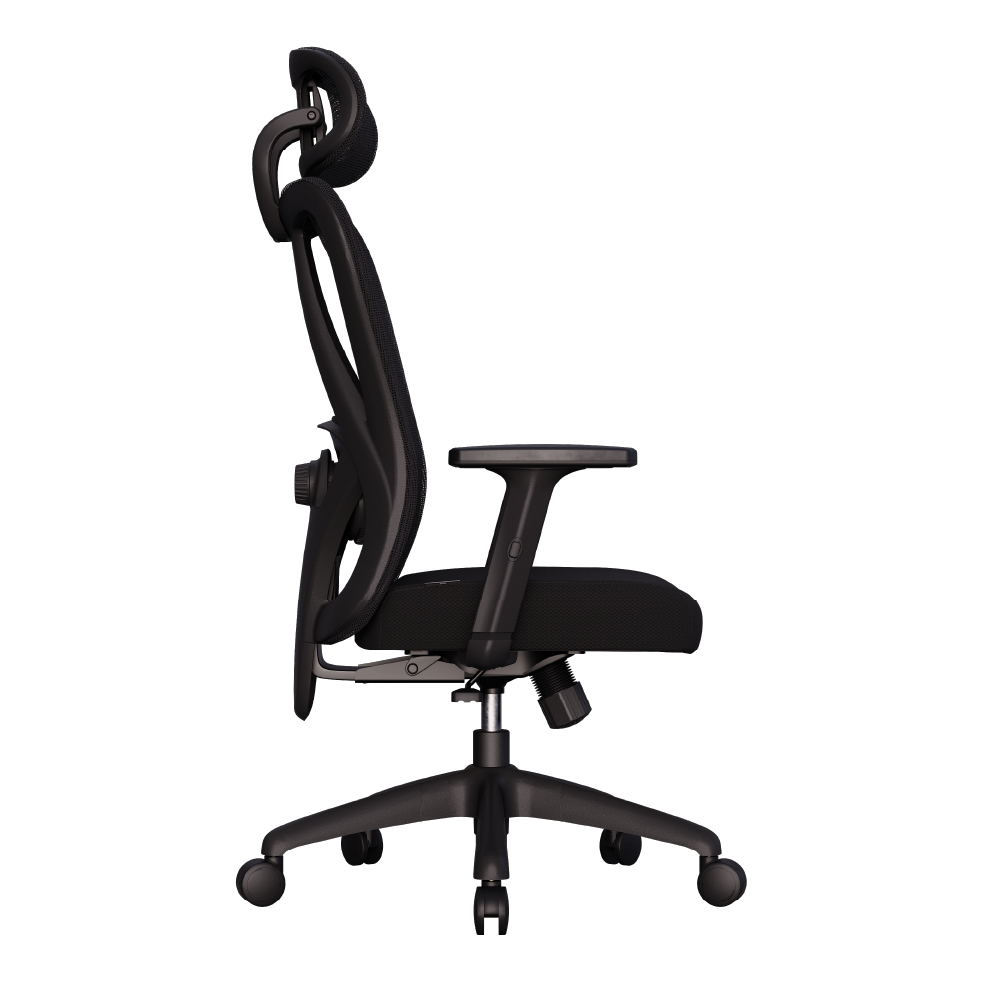 Cadeira Ergonômica Elements Samaia