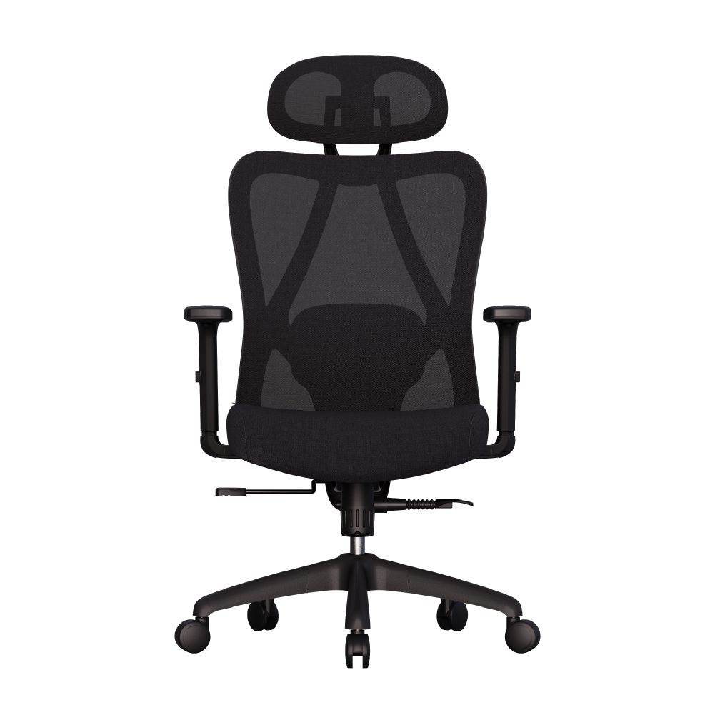 Cadeira ergonômica Elements Samaia