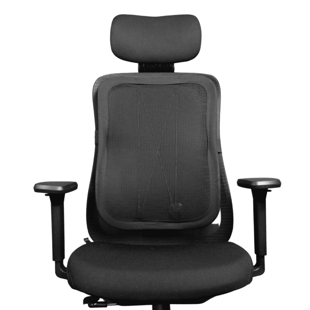 Apoio Lombar Ergonômico Flexback Elements - Elements