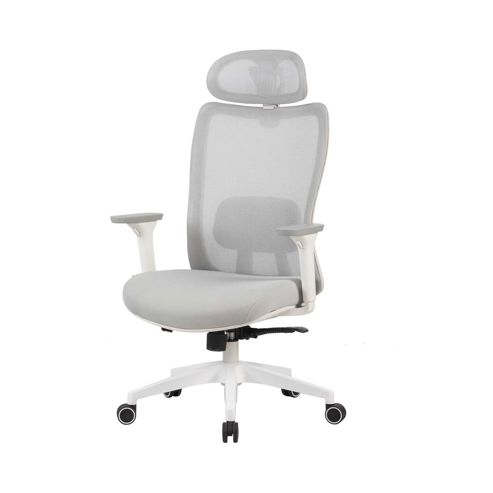 Cadeira Ergonômica Elements Astra Pro