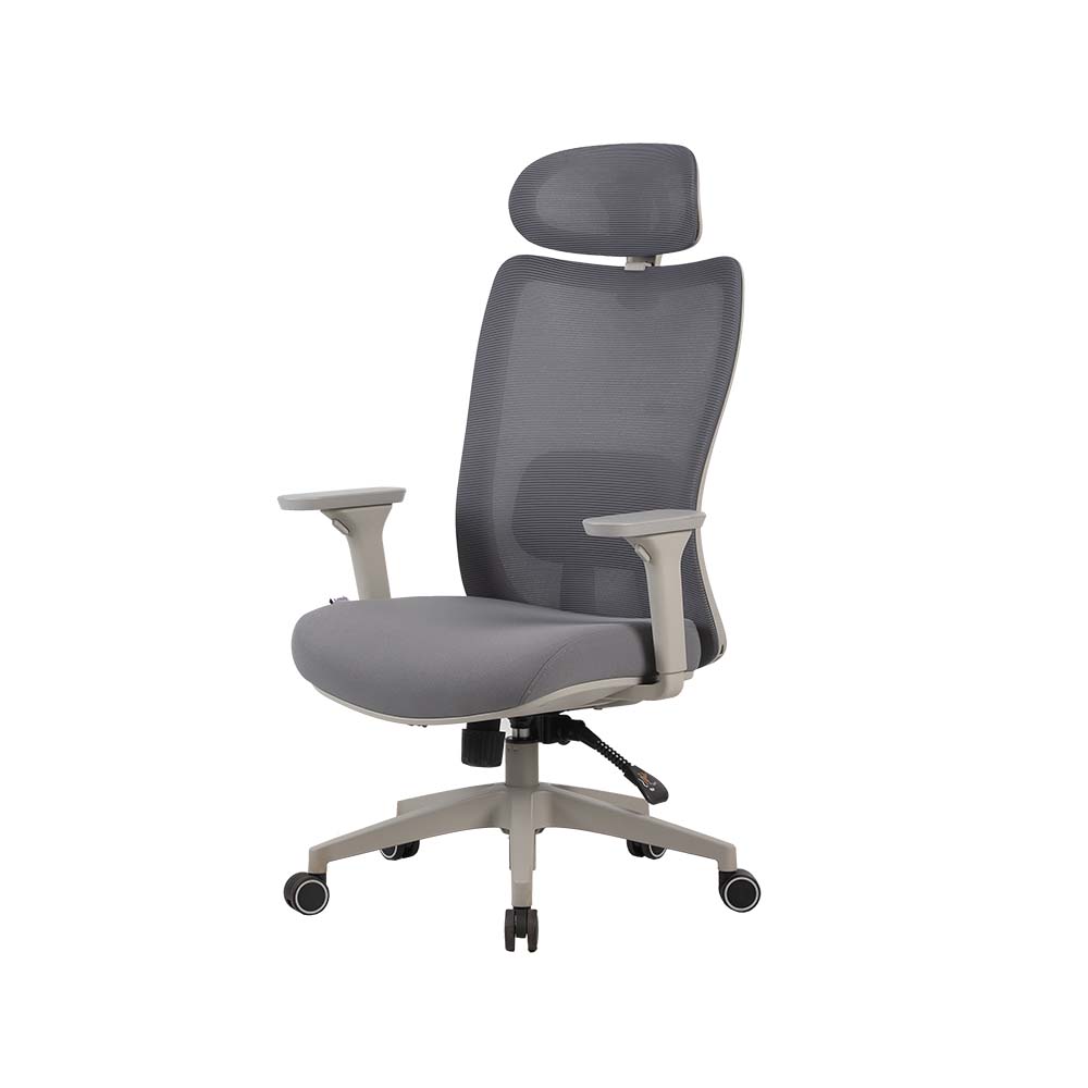 Cadeira Ergonômica Elements Astra Pro