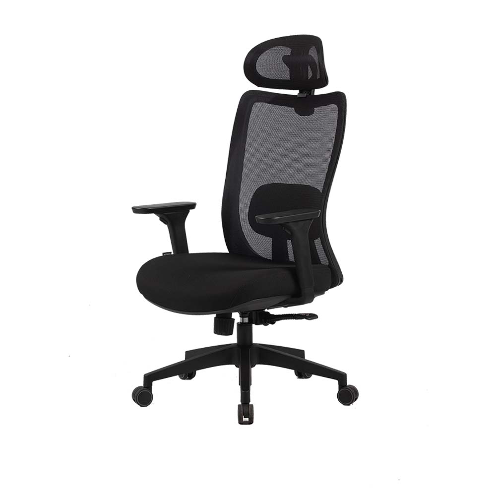 Cadeira Ergonômica Elements Astra Pro