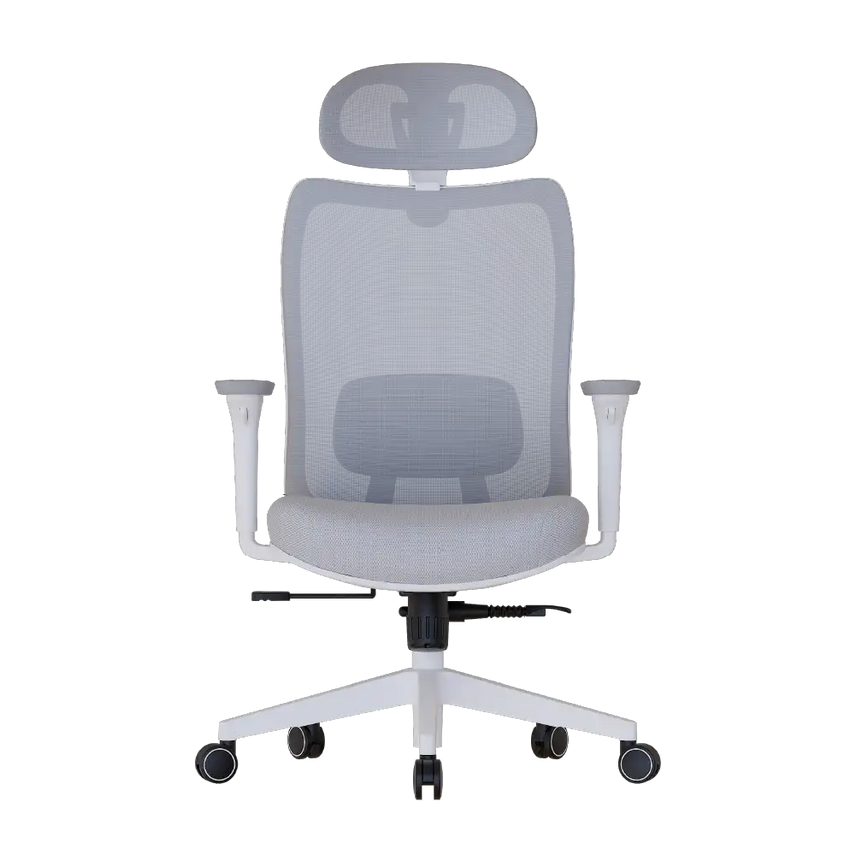 Cadeira Ergonômica Elements Astra Pro