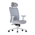 Cadeira Ergonômica Elements Astra Pro