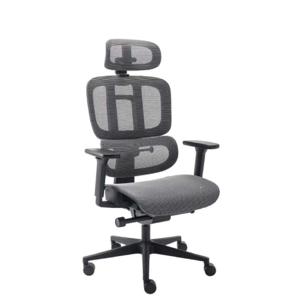 Cadeira Ergonômica Elements Sophy