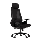 Cadeira Ergonômica Elements Helene Special