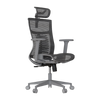 Cadeira Ergonômica Elements Vertta Pro