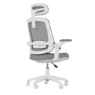 Cadeira Ergonômica Elements Astra