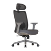 Cadeira Ergonômica Elements Astra Pro