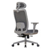 Cadeira Ergonômica Elements Astra Pro