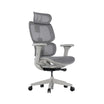 Cadeira ergonômica siggy, cadeira ergonômica de alto padrão custo benefício, tecido mesh, conforto no home office 