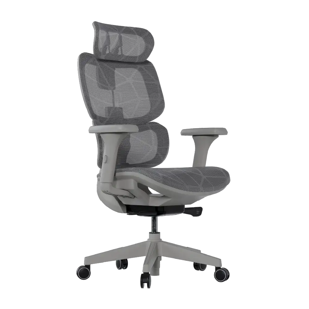 Cadeira Ergonômica Elements Siggy - Open Box