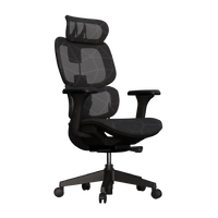 Cadeira Ergonômica Elements Siggy