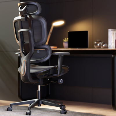 Cadeira Ergonômica Elements Sophy (verso)