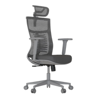 Cadeira Ergonômica Elements Vertta