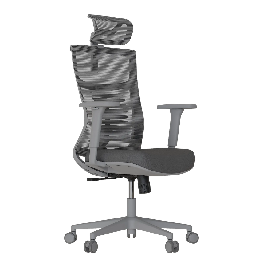 Cadeira Ergonômica Elements Vertta