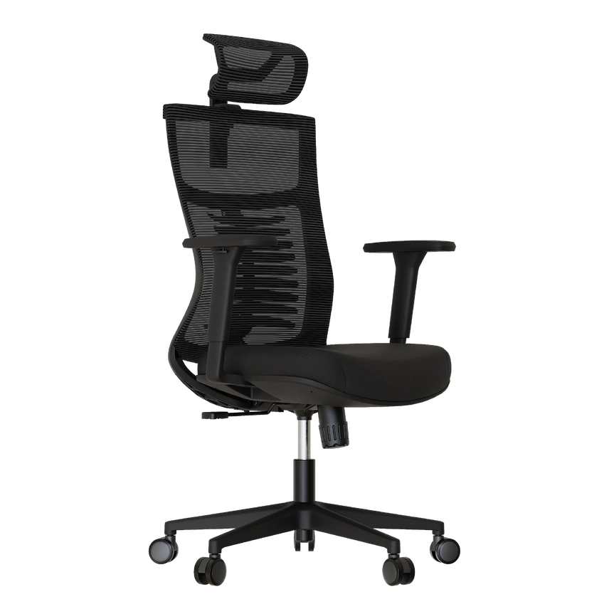 Cadeira Ergonômica Elements Vertta