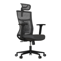 Cadeira Ergonômica Elements Vertta