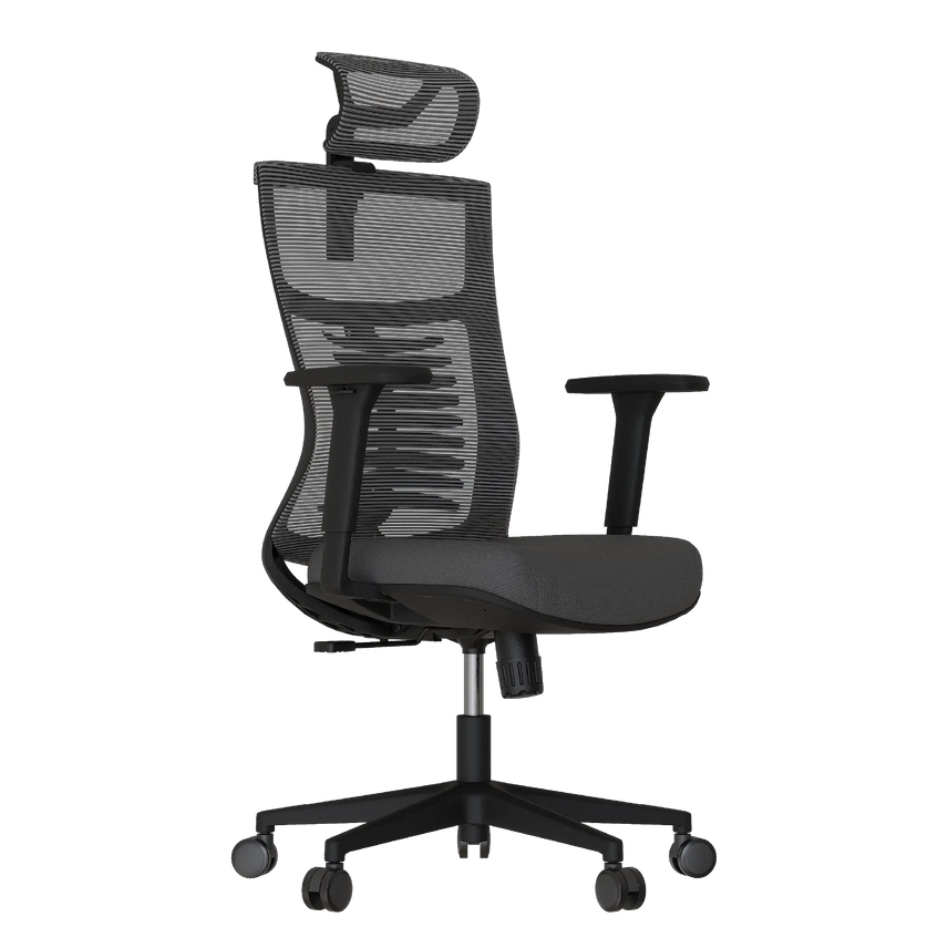 Cadeira Ergonômica Elements Vertta